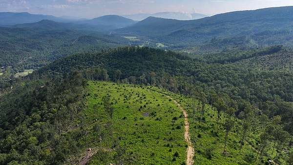 177 Acres of Land for Sale in Covington, Virginia