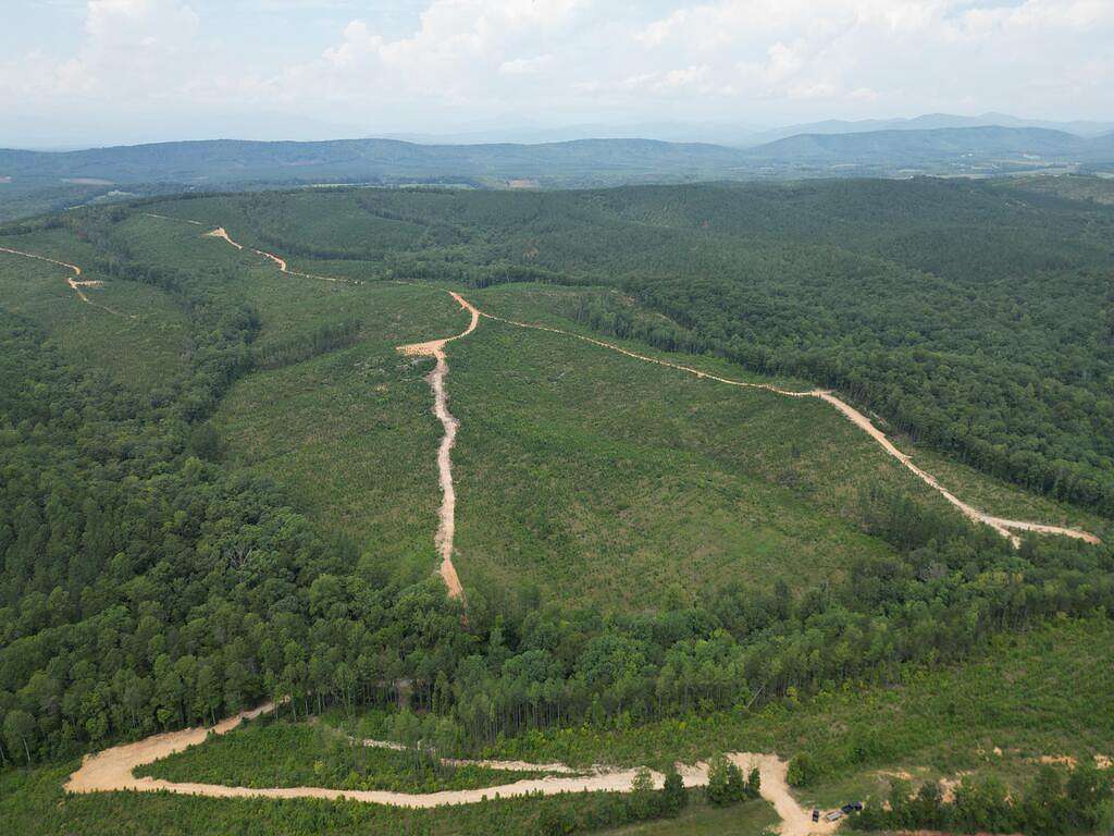 207 Acres of Land for Sale in Gladstone, Virginia