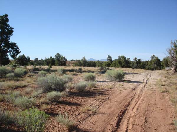 17.7 Acres of Land with Home for Sale in Cahone, Colorado