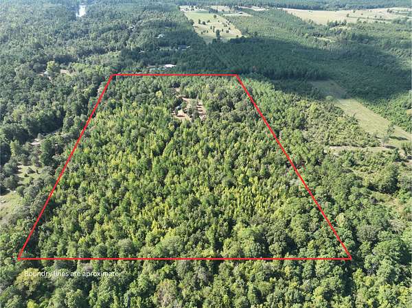 16.7 Acres of Land for Sale in Linden, Texas