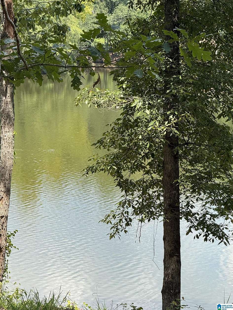 1 Acre of Residential Land for Sale in Wedowee, Alabama