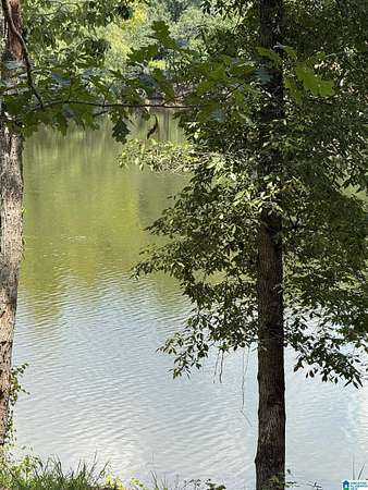 1 Acre of Residential Land for Sale in Wedowee, Alabama