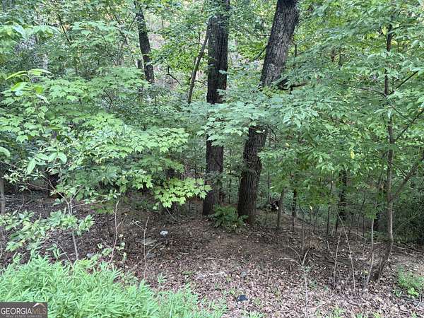 0.14 Acres of Residential Land for Sale in Gainesville, Georgia