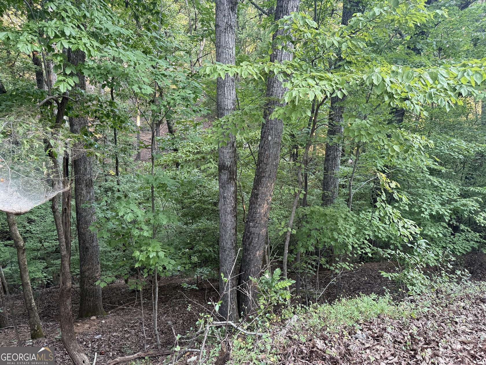 0.11 Acres of Residential Land for Sale in Gainesville, Georgia