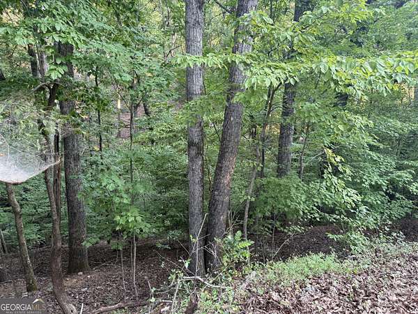 0.11 Acres of Residential Land for Sale in Gainesville, Georgia