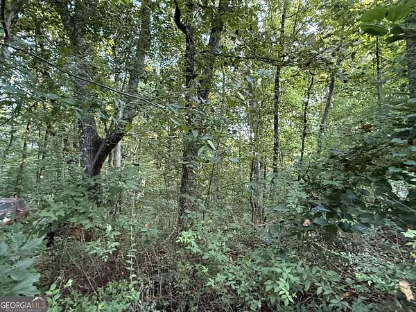 0.36 Acres of Residential Land for Sale in Gainesville, Georgia
