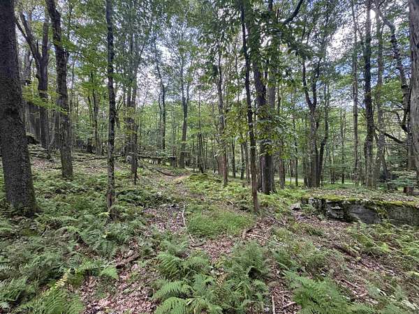 0.82 Acres of Residential Land for Sale in Terra Alta, West Virginia