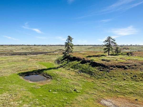 83 Acres of Land for Sale in Davenport, Washington