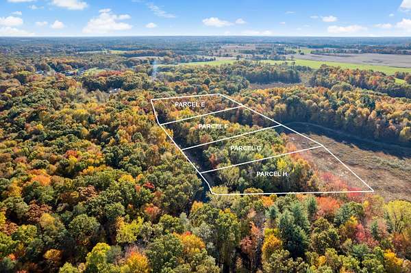 9 Acres of Residential Land for Sale in Rockford, Michigan