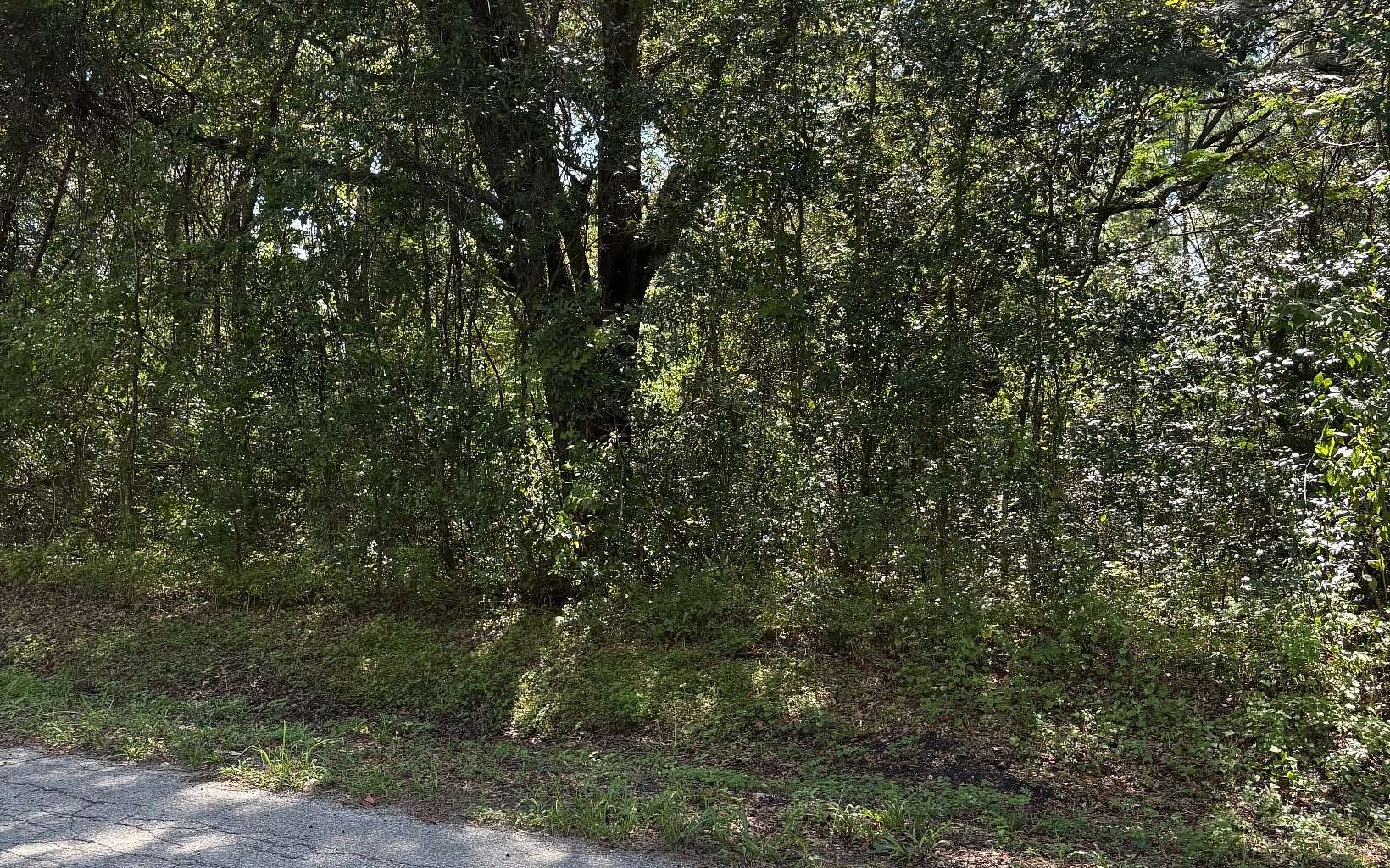 1.15 Acres of Residential Land for Sale in Lake City, Florida