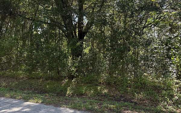 1.15 Acres of Residential Land for Sale in Lake City, Florida