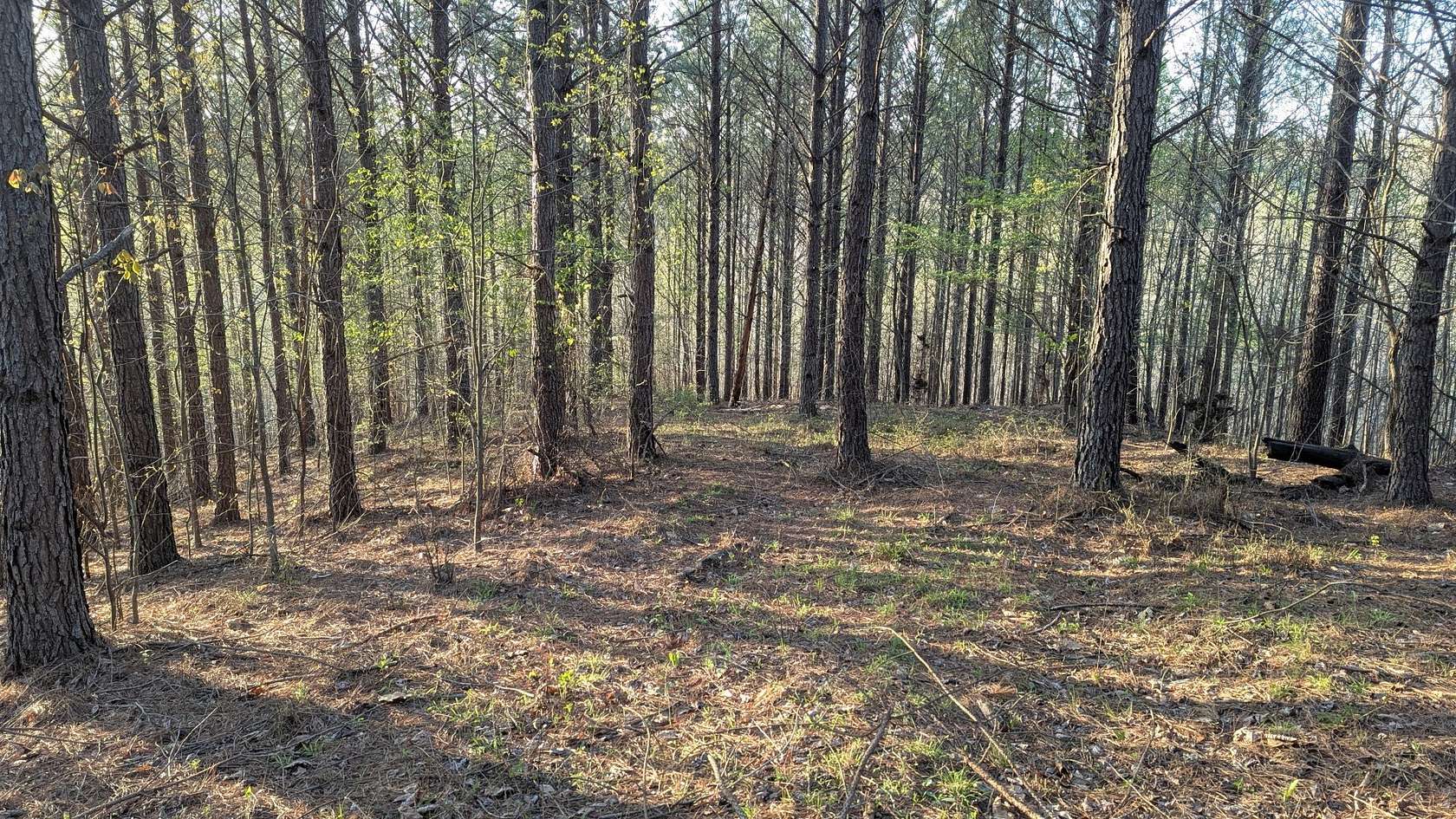 6.5 Acres of Residential Land for Sale in Linden, Tennessee