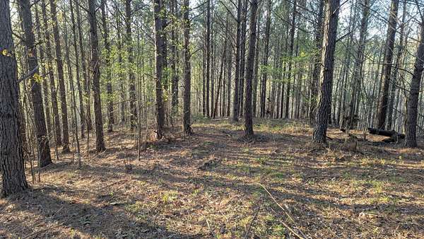 6.5 Acres of Residential Land for Sale in Linden, Tennessee