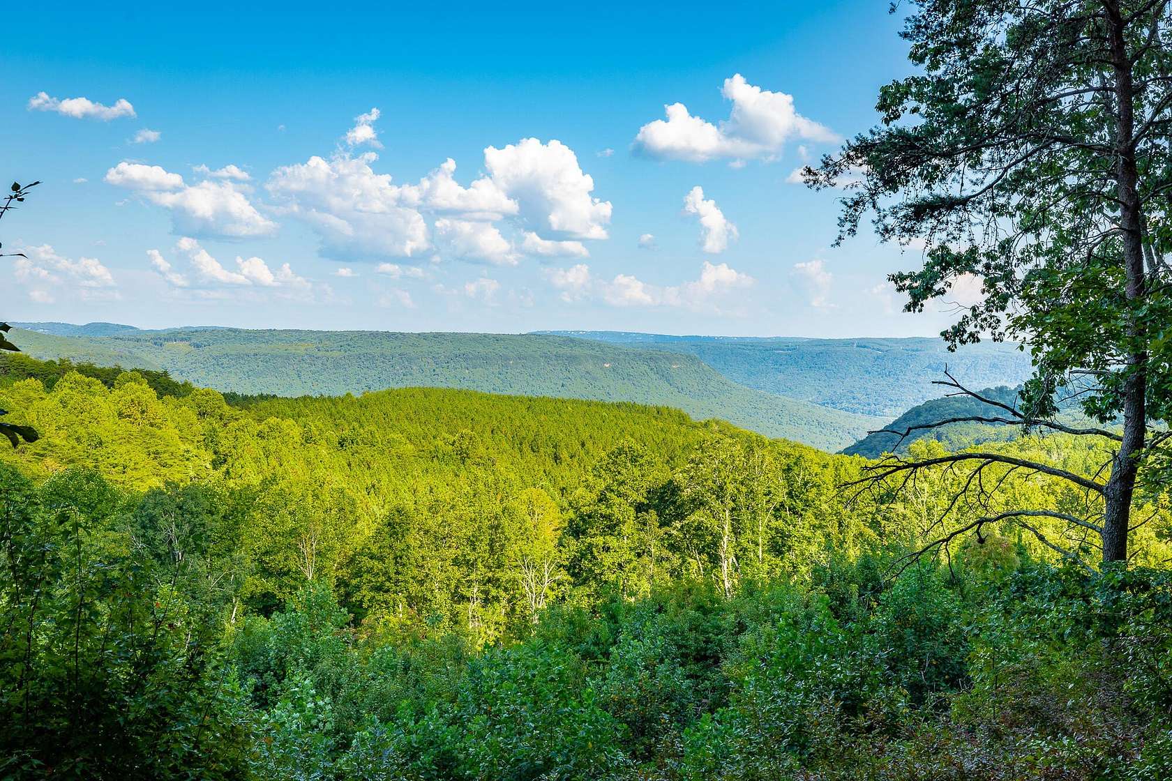 3 Acres of Residential Land for Sale in Haletown, Tennessee