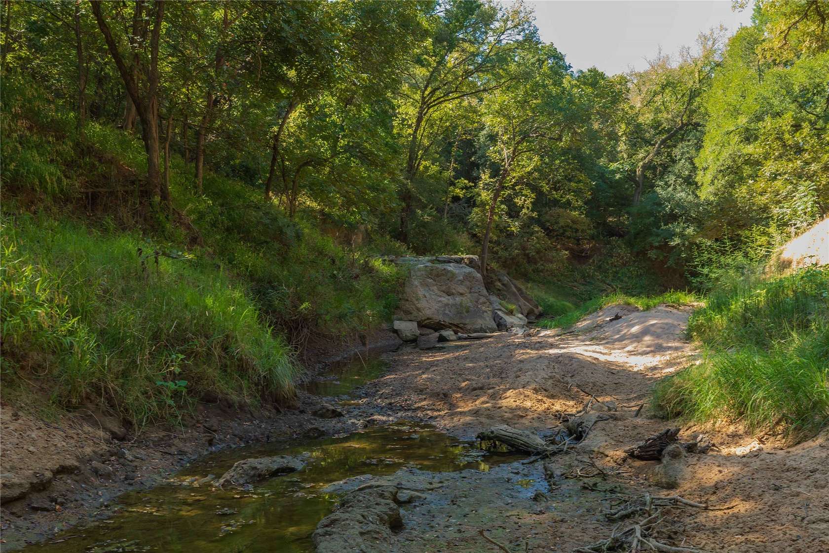 73.7 Acres of Land for Sale in Gorman, Texas