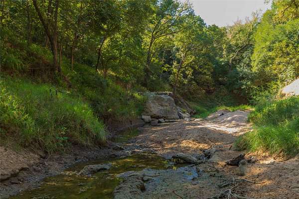 73.7 Acres of Land for Sale in Gorman, Texas