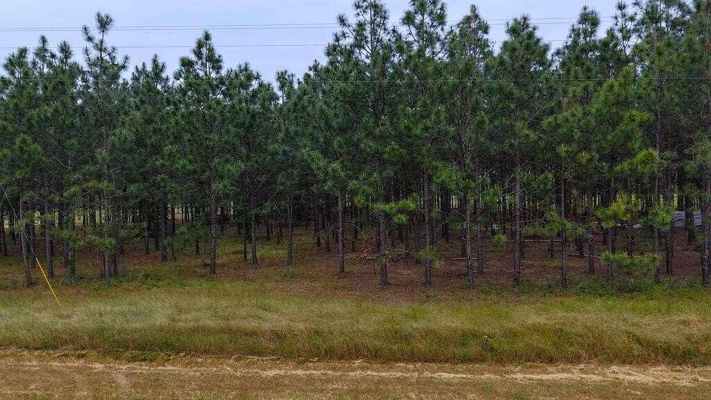 5 Acres of Residential Land for Sale in Headland, Alabama