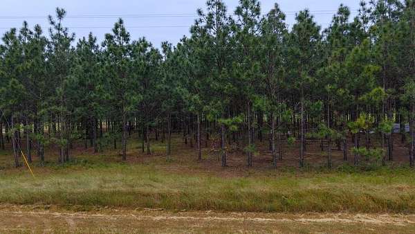5 Acres of Residential Land for Sale in Headland, Alabama