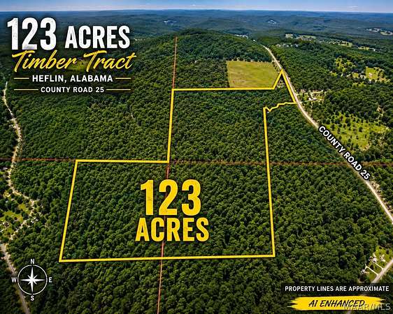 123 Acres of Recreational & Residential Land for Sale in Heflin, Alabama