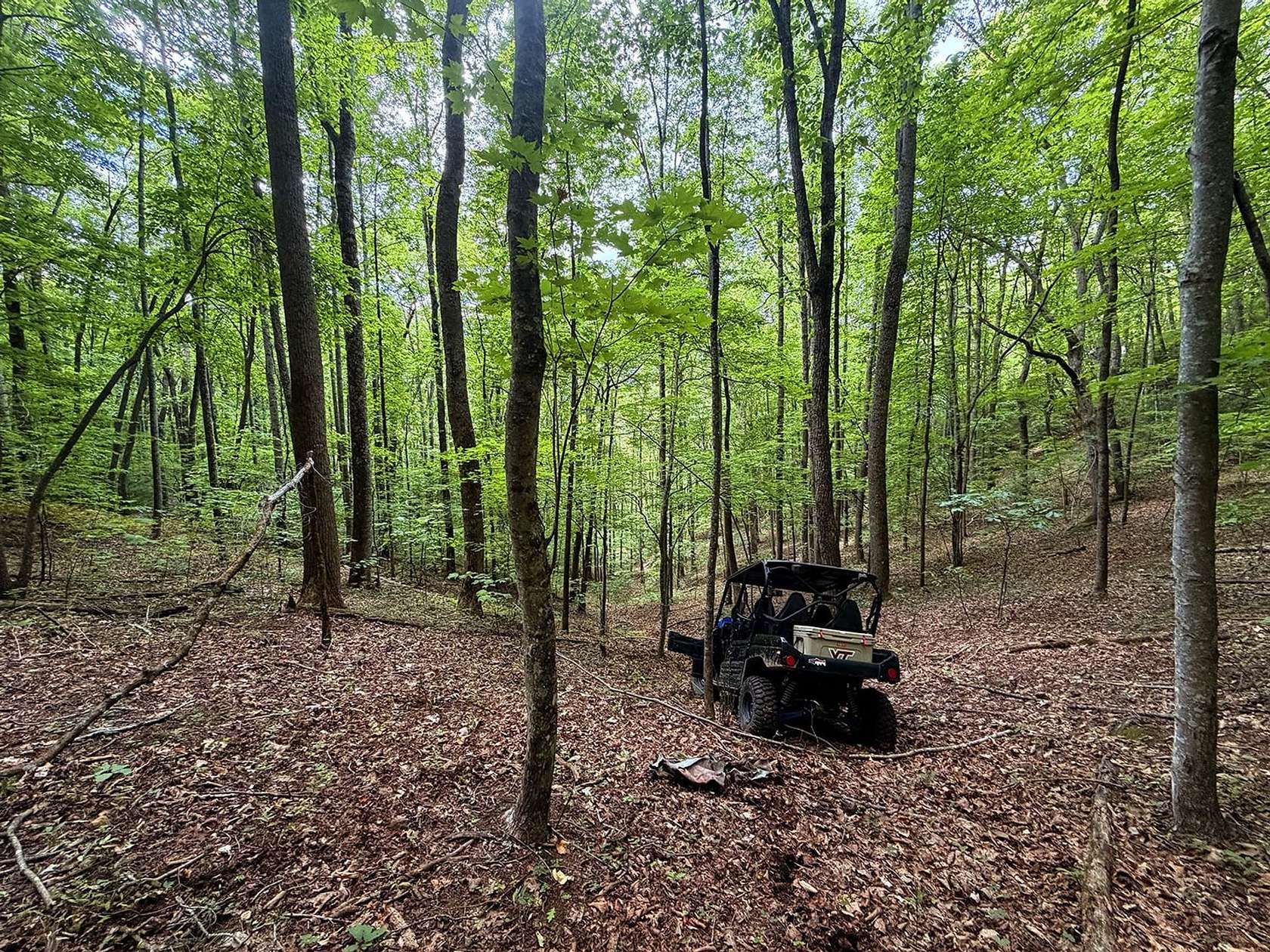 18.8 Acres of Recreational Land for Sale in Candler, North Carolina