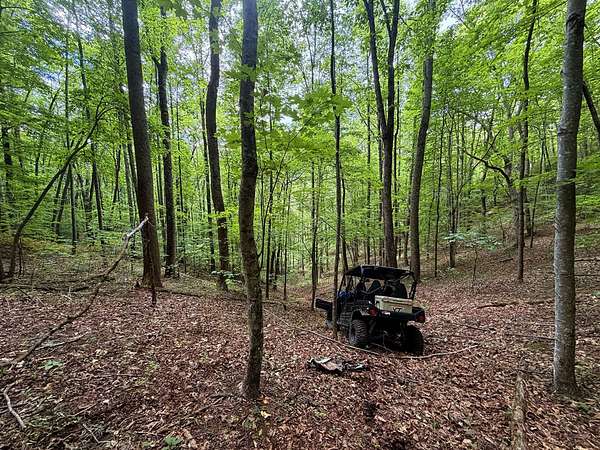 18.8 Acres of Recreational Land for Sale in Candler, North Carolina