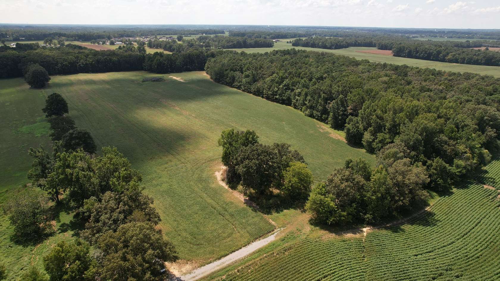43.8 Acres of Land for Sale in Ardmore, Tennessee