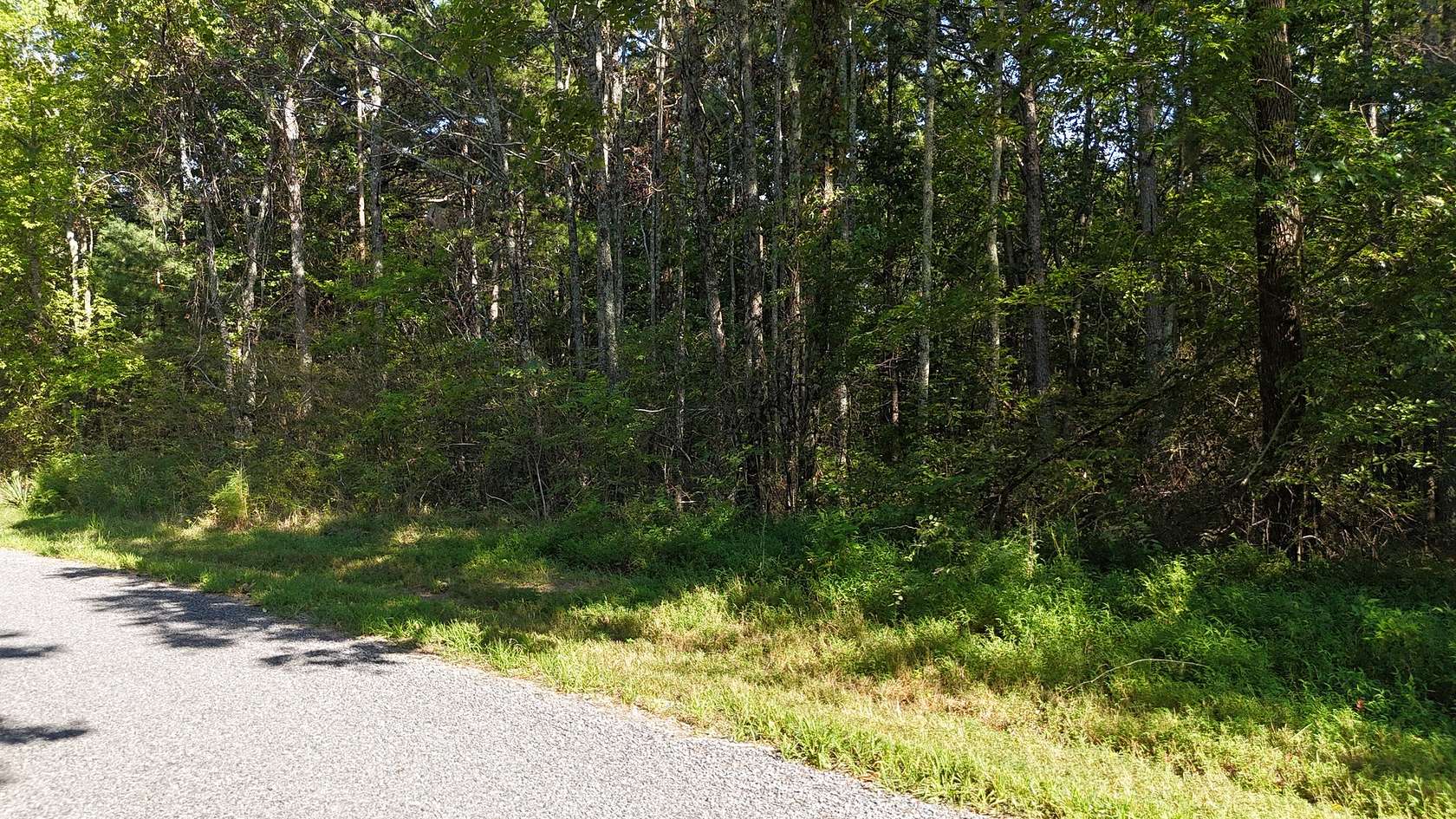 10 Acres of Residential Land for Sale in Mentone, Alabama