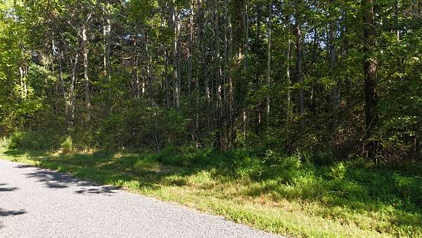 10 Acres of Residential Land for Sale in Mentone, Alabama