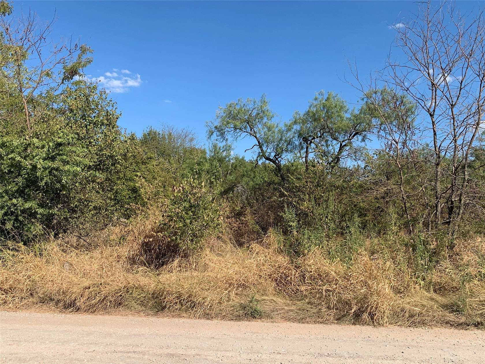 0.27 Acres of Residential Land for Sale in Bridgeport, Texas