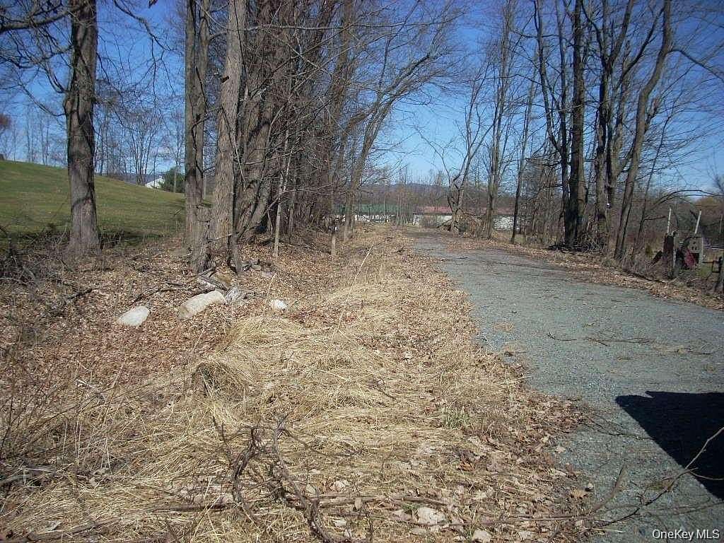 3.9 Acres of Commercial Land for Sale in Pine Bush, New York