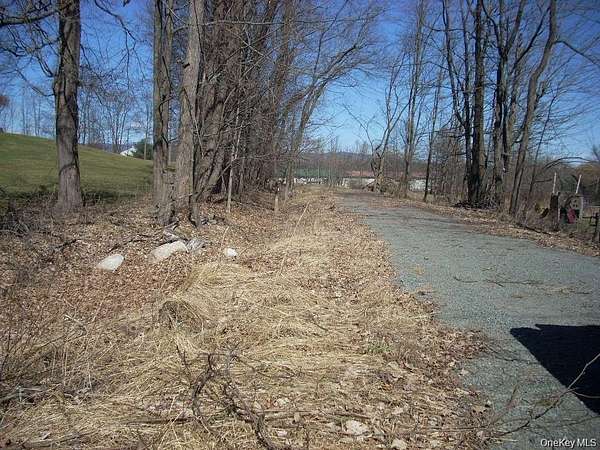 3.9 Acres of Commercial Land for Sale in Pine Bush, New York