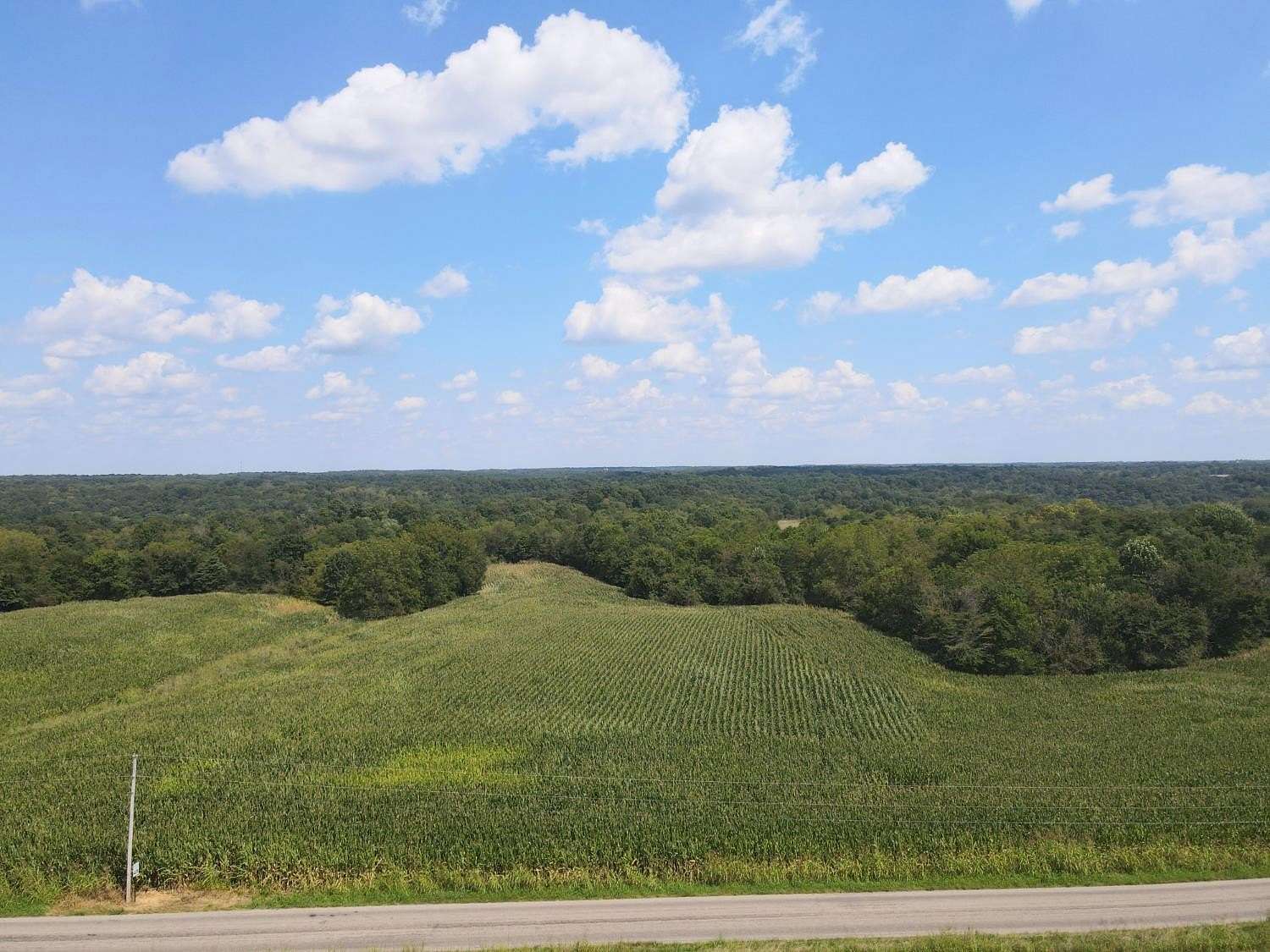 15.8 Acres of Land for Sale in Vevay, Indiana