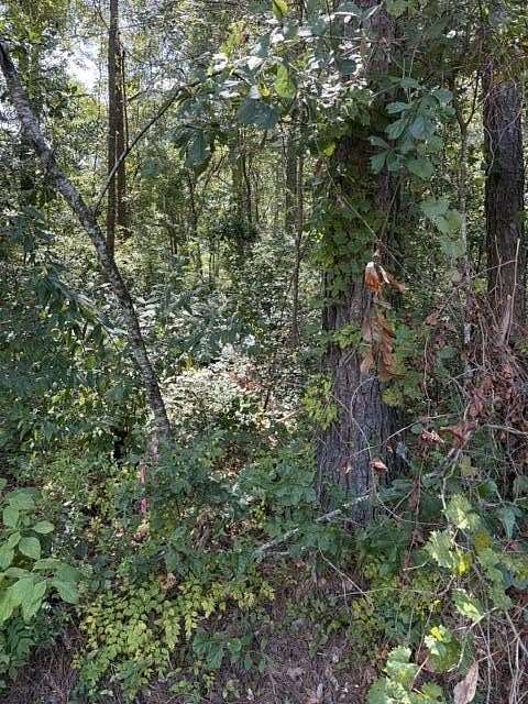 1.7 Acres of Residential Land for Sale in Summerville, South Carolina