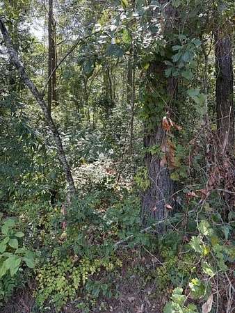 1.7 Acres of Residential Land for Sale in Summerville, South Carolina