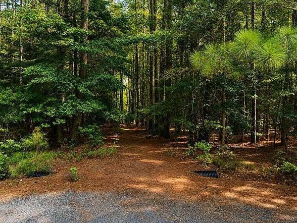 3 Acres of Residential Land for Sale in Painter, Virginia