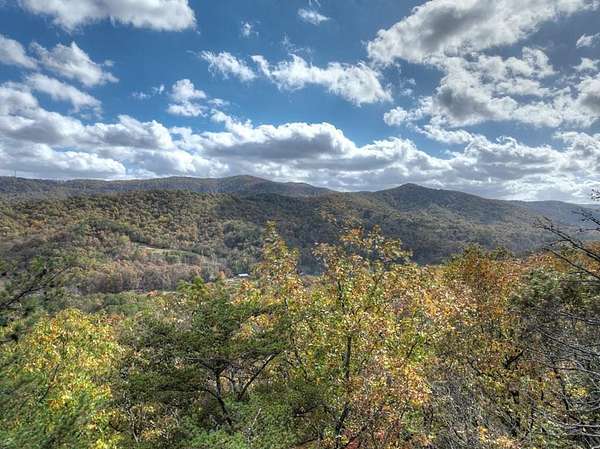 23.3 Acres of Land for Sale in Blue Ridge, Georgia