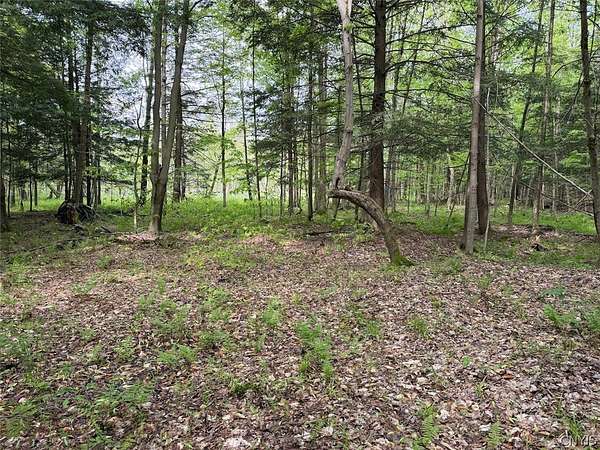 6.2 Acres of Land for Sale in South Dayton, New York