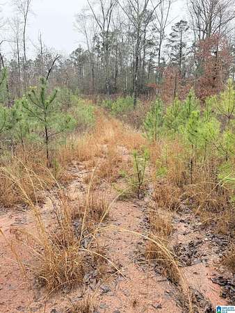 19 Acres of Land for Sale in Clanton, Alabama
