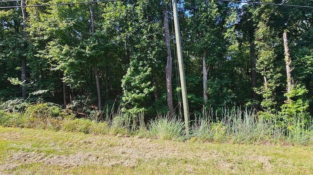 8.13 Acres of Residential Land for Sale in Fortson, Georgia