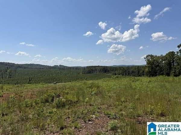 3.7 Acres of Residential Land for Sale in Vincent, Alabama