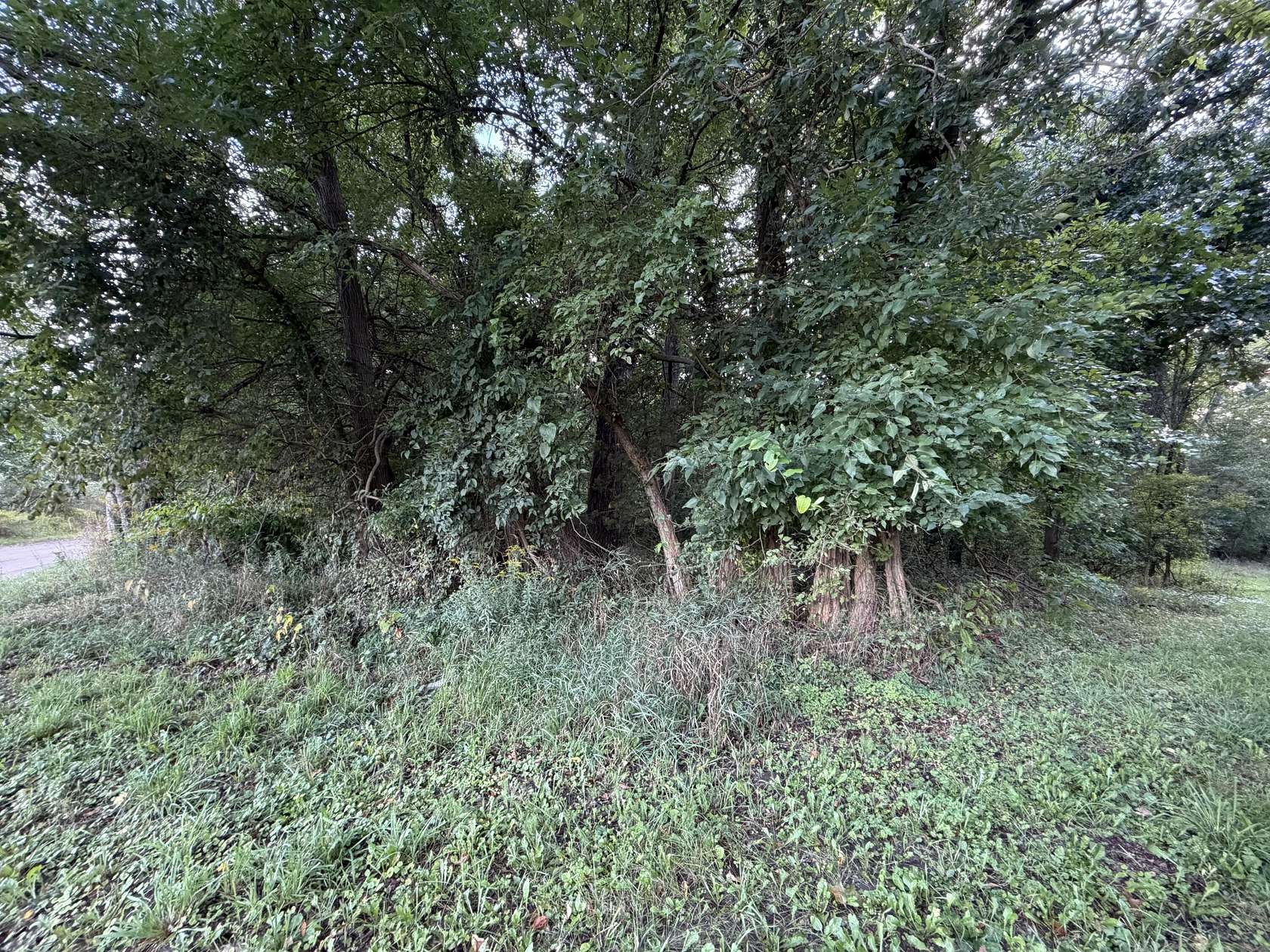 4.1 Acres of Residential Land for Sale in Allen, Michigan