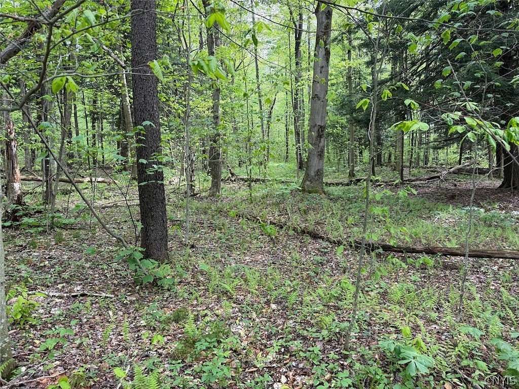 6.2 Acres of Land for Sale in South Dayton, New York