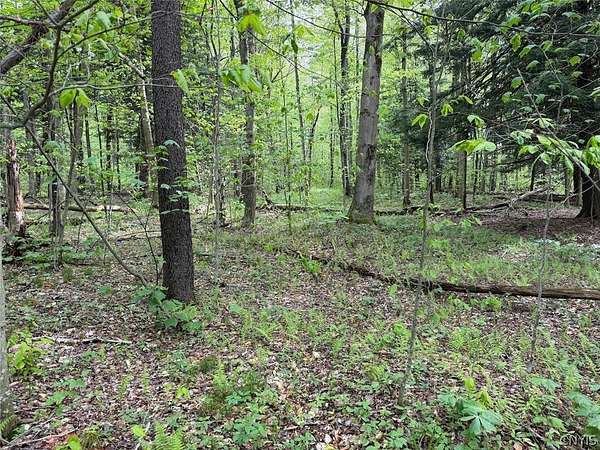 6.2 Acres of Land for Sale in South Dayton, New York