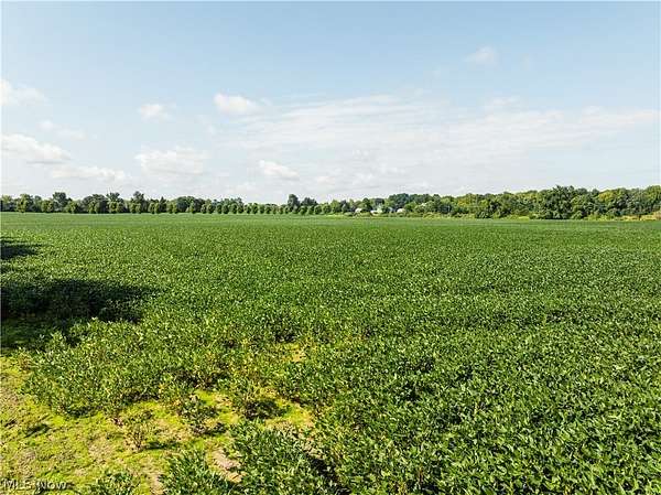 21.3 Acres of Agricultural Land for Auction in Centerburg, Ohio