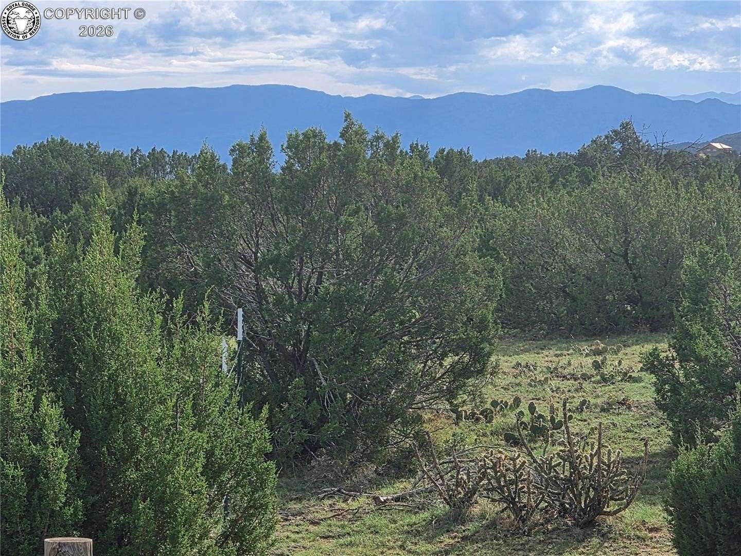 36.9 Acres of Land for Sale in Penrose, Colorado