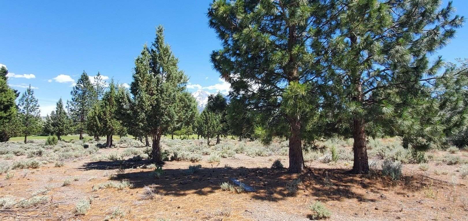 0.26 Acres of Residential Land for Sale in Weed, California
