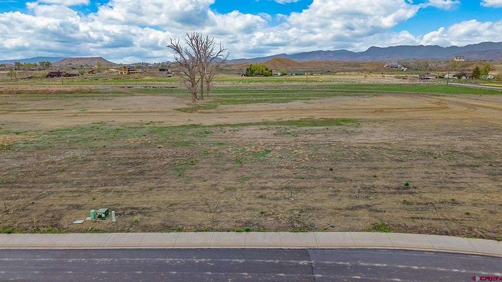 0.17 Acres of Residential Land for Sale in Montrose, Colorado