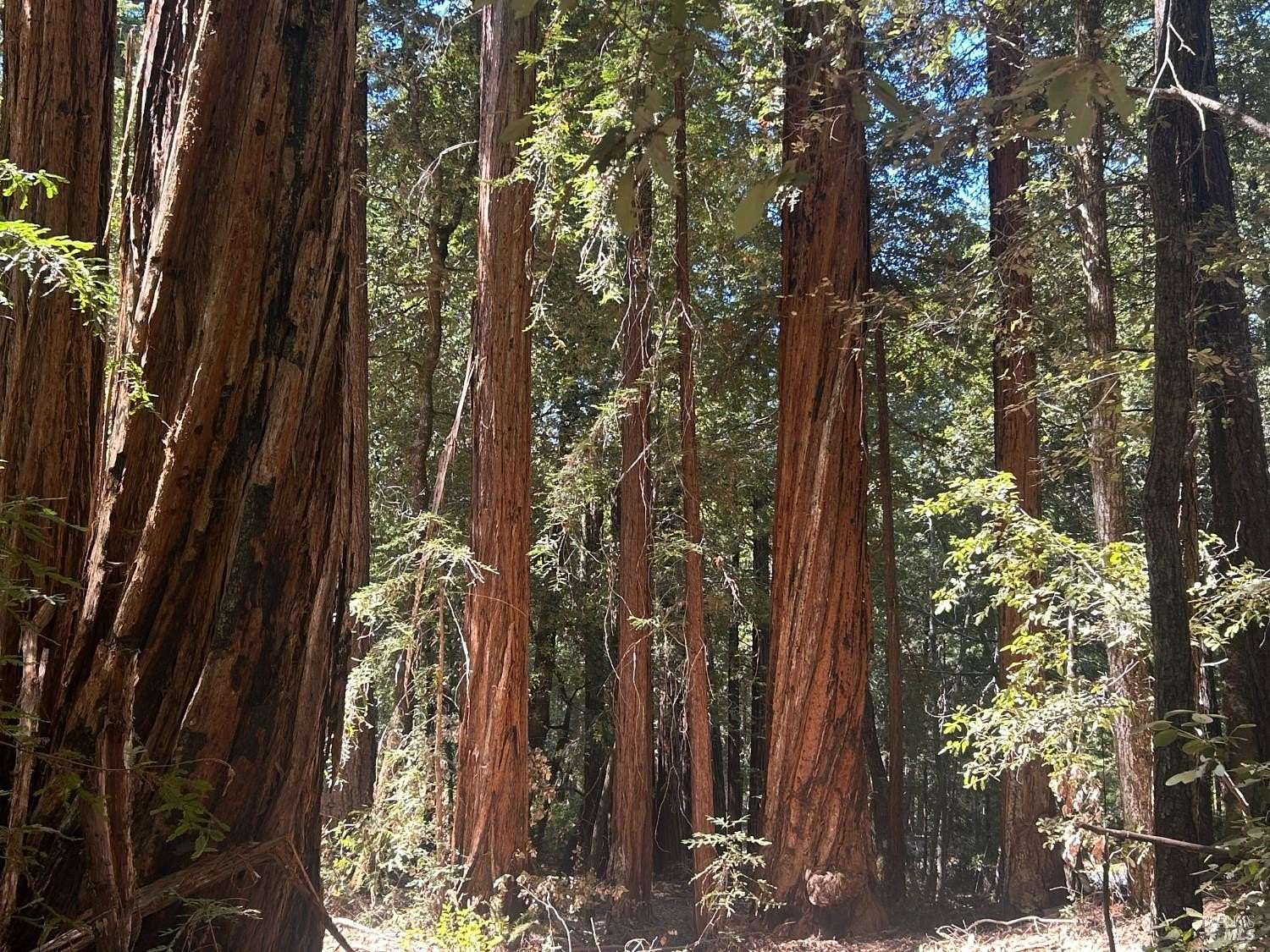 5.14 Acres of Residential Land for Sale in Annapolis, California