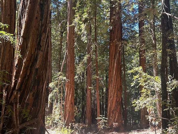 5.14 Acres of Residential Land for Sale in Annapolis, California