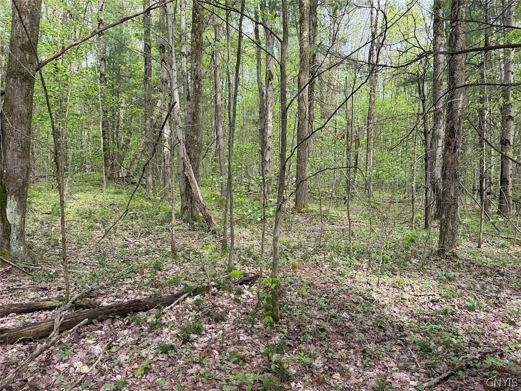6.2 Acres of Land for Sale in South Dayton, New York